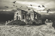 dramatic b&w abandoned house with birds