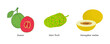Set of fruits Guava, Noni fruit or Morinda Citrifolia, Honeydew melon isolated on white background. Flat style illustration. Vector illustration