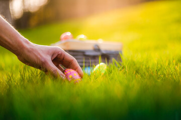 easter eggs in basket in grass. easter egg hunt, hand placing eggs in grass for hiding for children.