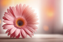 Image Focusing On Just A Beautiful Pink Flower With Blurred Background.