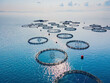 Fish farm floating net sea water surface coast skyline seafood business aquaculture, aerial view