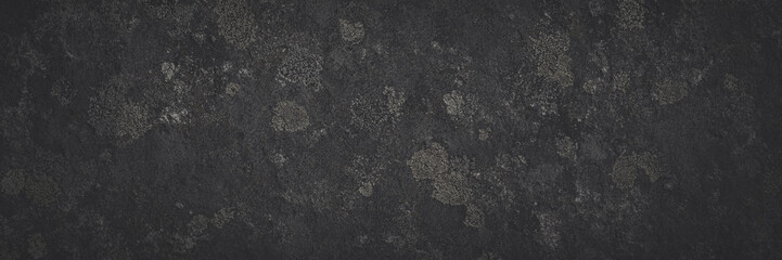 Wall Mural - Natural texture of a stone covered with lichen. Lichenes patterns on a rock surface. Natural background. Closeup top view. Faded dark wide panoramic background for design.