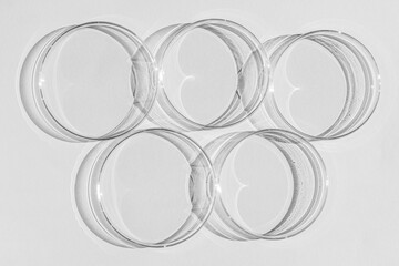 Wall Mural - Petri dish. A set of Petri cups. On a white background. Laboratory half.