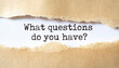 © Uuganbayar - What questions do you have?. Words written under torn paper.