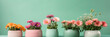 banner of a row of flowers in a pots on green background with copy space, generative ai illustration