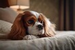 © Seidl AI Agency - Affectionate Cavalier King Charles Spaniel in a Cozy Setting, created with Generative AI technology