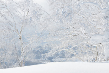 Wall Mural - winter landscape trees covered in snow and frost