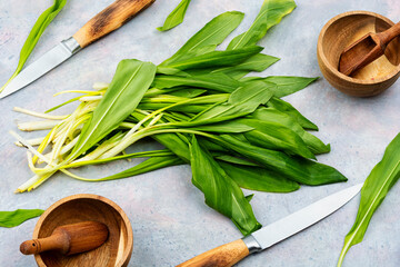 Poster - Harvest of fresh wild garlic.