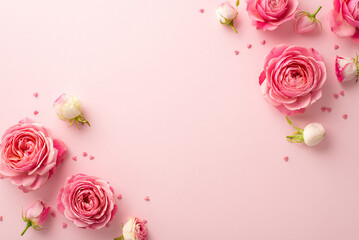 Wall Mural - 8-march concept. Top view photo of pink peony roses and sprinkles on isolated pastel pink background with blank space