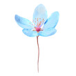 Blue sakura flower with stem in PNG isolated on transparent background