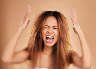 Poster - Anger, screaming and woman with hair loss in studio isolated on a brown background. Haircare, damage and upset female model shouting after salon treatment fail, split ends or messy hairstyle problem