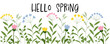 Hello Spring - Hallo Frühling. Vektor Banner mit Blumen in Pastellfarben.