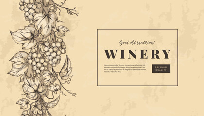 Sketch grape leaves, engraving winery banner. Horizontal bar label, elegant pattern, decorative texture. Poster with copy space. Hand drawn natural berry. Vector design vintage background