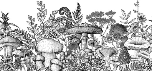 Seamless horizontal forest pattern with mushrooms, plants, herbs. Linear fly agaric, chanterelles, porcini mushroom, honey mushrooms, morels, mycena, russula, boletus, nettle, fern, chicory, chamomile