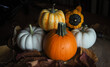 Ornamental pumpkins of various colors, shapes and sizes