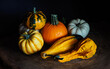 Ornamental pumpkins of various colors, shapes and sizes