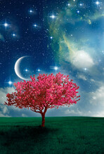 Mystic Magic Pink Tree With Nebula, Stars, Moon Luna And Stars Over Mystical Sky With Copy Space Like Spiritual, Elf,  Magic Nature And Fantasy Background 