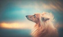  A Dog With Long Hair Looking Up At A Sky Background.  Generative Ai