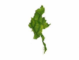 Poster - Myanmar map made of green leaves on White background ecology concept