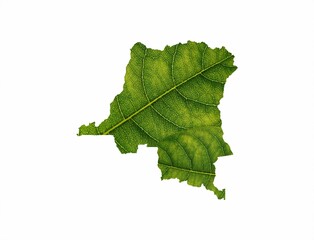 Canvas Print - Congo map made of a green leaf on a soil background. Ecology concept.