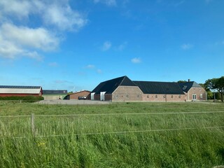 Sticker - Landscape of a green field on a background of the rural buildings on a sunny day