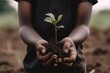 black kid's hands holding plant. Generative AI