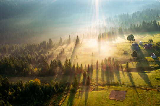 Wall Mural - Spectacular misty landscape with sunbeams breaking through the trees.