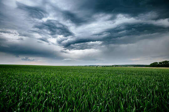 Wall Mural - Black ominous clouds in front of a hurricane over farmland.