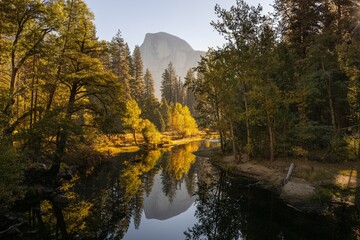 Sticker - reflection of trees in the lake