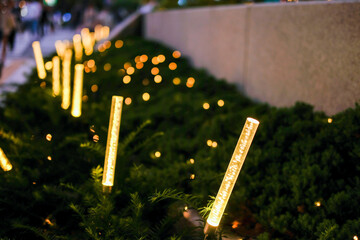 Poster - Bush, low-level planters with fairy light.