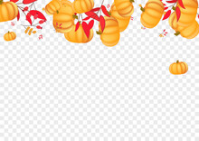 Yellow Pumpkin Background Transparent Vector. Gold Fall Illustration. Red Leaves Park Set. Plant November. Graphic Banner.