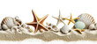 Seashells and starfish on the sand. isolated on blank background PNG