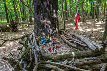 Poster - Grave from World War 2 in Bielany Forest park in Bielany district of Warsaw capital city, Poland