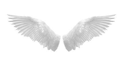 Fototapete - Angel wings isolated on white background
