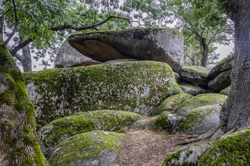 Wall Mural - Rocks in Beglik Tash ancient Thracian remains of rock sanctuary in Bulgaria