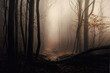 © Oleksandr - Dense fog in autumn forest with yellow leaves and green moss on tree bark AI generated