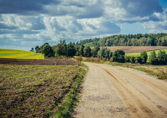 Poster - Rural road in Ostroda County, Warmia and Mazury region of Poland