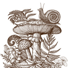 Vector Illustration Of Fly Agaric And Snail Surrounded By Plants In Engraving Style