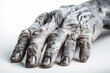 the withered hand of a mummy or a dead man, created by a neural network, Generative AI technology