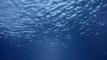 Water Surface From Bottom To Top. Waves In The Sea, A Cinematic Shot Of The Water Column