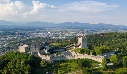 Poster - Celje Castle is a castle ruin in Celje, Slovenia, formerly the seat of the Counts of Celje. It stands on three hills to the southeast of Celje, where the river Savinja meanders into the Lasko valley