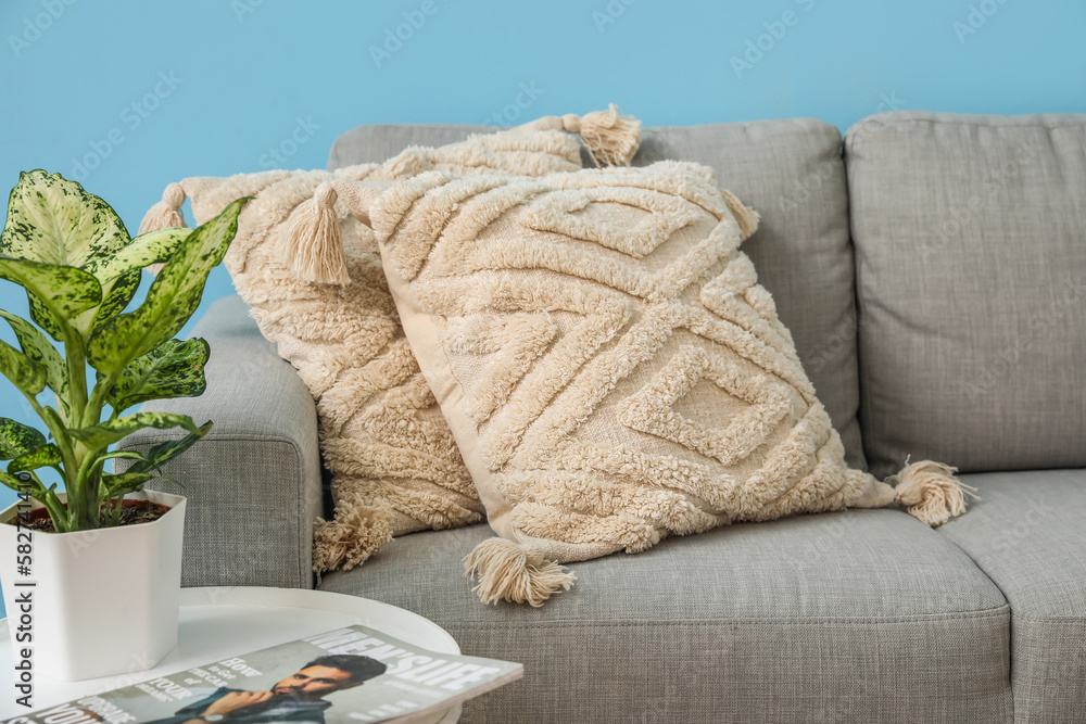 Grey cozy sofa with cushions and houseplant on table