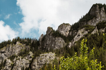 Wall Mural - Nature scenic landscapes, Polish mountains and rocks and forests