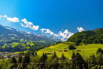 Wall Mural - Mountains and meadows covered with forest in the village Darstetten in Frutigen-Niedersimmental, Bern, Switzerland