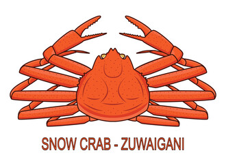 Wall Mural - Japanese snow crab called Zuwaigani drawing in vector