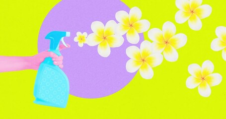 Wall Mural - Modern loop photo collage animation. Spay and flowers. Positive, spring, summer concept
