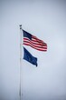Vertical shot of USA and Alaska flags waving against a cloudy sky