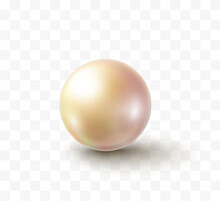 Pearl Glossy Bead Isolated On Transparent Background. Golden White Ball. Vector 3d Metal Sphere, Shiny Capsule
