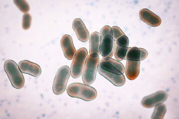 Poster - Prevotella bacteria, 3D illustration. Gram-negative anaerobic bacteria, cause anaerobic infections of respiratory tract and other location