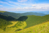 Fototapeta Krajobraz - countryside mountain landscape. mountains of chornohora ridge. sunny morning in summer
